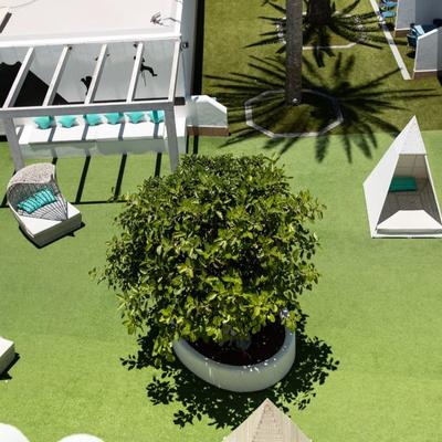 Chill-out Surfing Colors Corralejo Chill-out Surfing Colors Corralejo